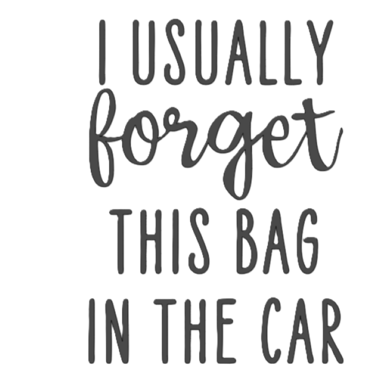 I Usually Forget this Bag in the Car