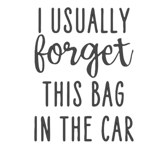 I Usually Forget this Bag in the Car