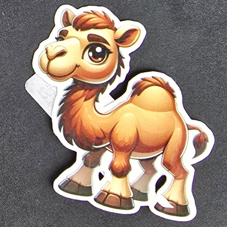 Spunky Camel