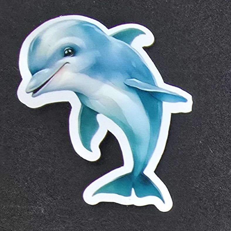 Spunky Dolphin